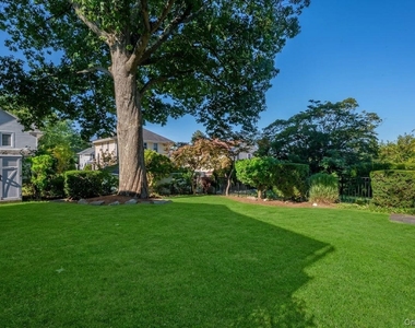 71 Ewart Street - Photo Thumbnail 1