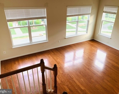 25550 Feltre Terrace - Photo Thumbnail 2