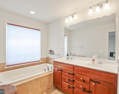 25501 Amber Gate Terrace - Photo Thumbnail 19