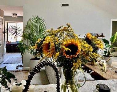 1709 Mountainview Drive - Photo Thumbnail 14