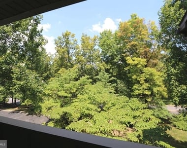 1709 Mountainview Drive - Photo Thumbnail 36