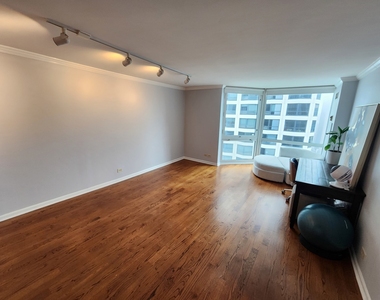 195 N Harbor Drive - Photo Thumbnail 4