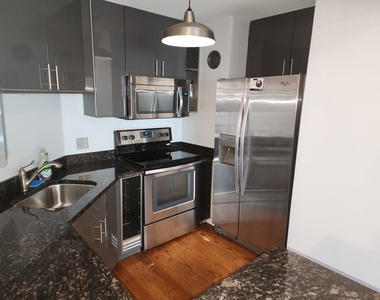 195 N Harbor Drive - Photo Thumbnail 6