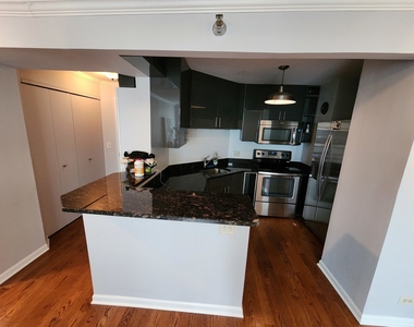 195 N Harbor Drive - Photo Thumbnail 7