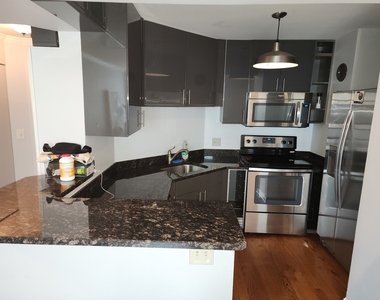 195 N Harbor Drive - Photo Thumbnail 8