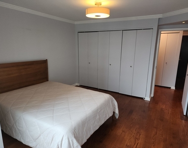 195 N Harbor Drive - Photo Thumbnail 12