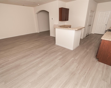 1135 Lexington Grove Drive - Photo Thumbnail 5