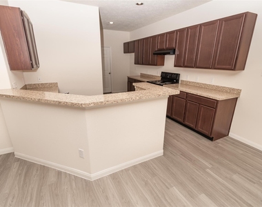1135 Lexington Grove Drive - Photo Thumbnail 3