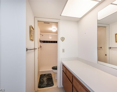 241 Palm River Boulevard - Photo Thumbnail 18