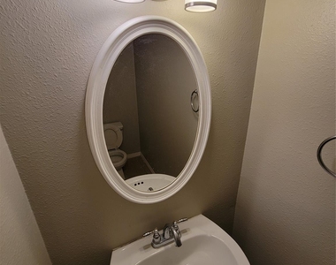 12514 Berry Laurel Lane - Photo Thumbnail 21
