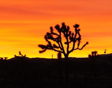 6036 Sunset Road - Photo Thumbnail 6