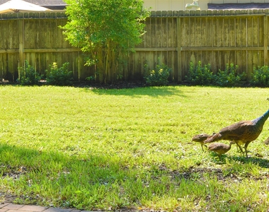 14119 Kellywood Lane - Photo Thumbnail 30