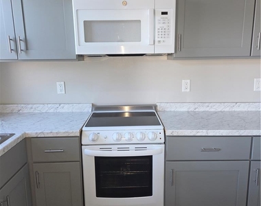 1142 W Hamilton Street - Photo Thumbnail 5