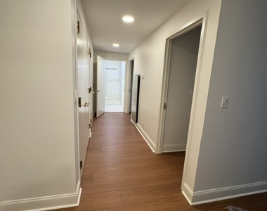 59 Courtland Avenue - Photo Thumbnail 8