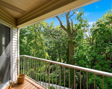 231 Atlantic Street - Photo Thumbnail 12
