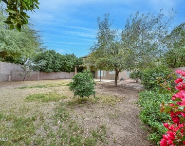 26435 N 42nd Place - Photo Thumbnail 37