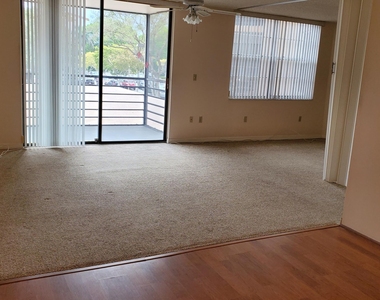 1000 St Charles Place - Photo Thumbnail 2