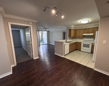 15155 Michelangelo Boulevard - Photo Thumbnail 1