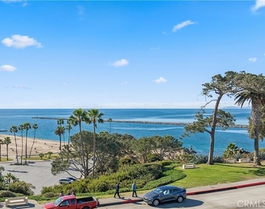 2824 Ocean Boulevard - Photo Thumbnail 17