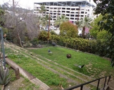1036 N Bonnie Brae Street - Photo Thumbnail 5
