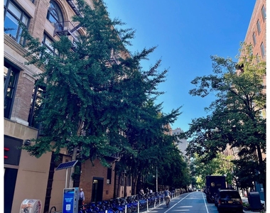 100 W 15th Street - Photo Thumbnail 12