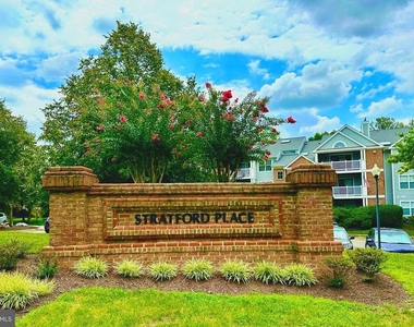 6107 Wigmore Lane - Photo Thumbnail 24