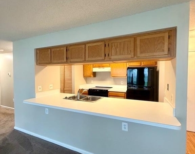 2703 Snowbird Terrace - Photo Thumbnail 10