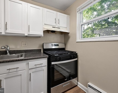 702 Chaney Drive - Photo Thumbnail 13