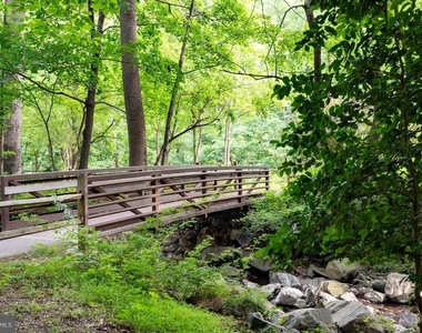 702 Chaney Drive - Photo Thumbnail 29