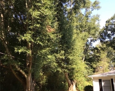 205 Harper Street - Photo Thumbnail 11