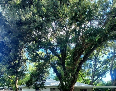 3016 Lincoln Street - Photo Thumbnail 9