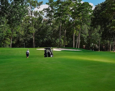 14 Lyric Arbor Circle - Photo Thumbnail 41