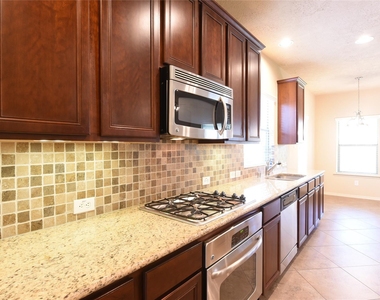 118 E Lasting Spring Circle - Photo Thumbnail 9
