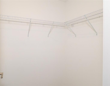 10069 Branching Ship Trace - Photo Thumbnail 30