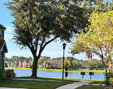 9842 Lake Chase Island Way - Photo Thumbnail 24