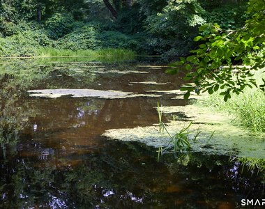 17 Old Mill Road - Photo Thumbnail 20