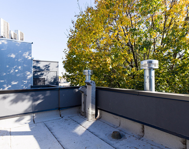 828 St Johns Place - Photo Thumbnail 9