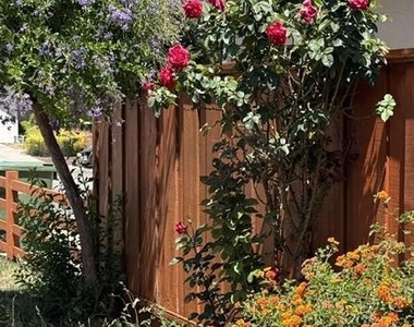 523 Hickory Place - Photo Thumbnail 10