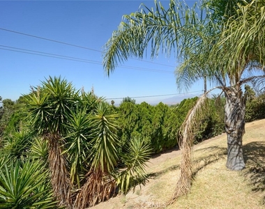 3803 Piedmont - Photo Thumbnail 31