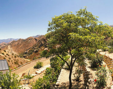 1700 Cadenhorn Drive - Photo Thumbnail 46
