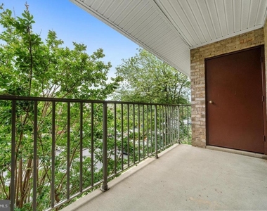 7984 Audubon Avenue - Photo Thumbnail 23