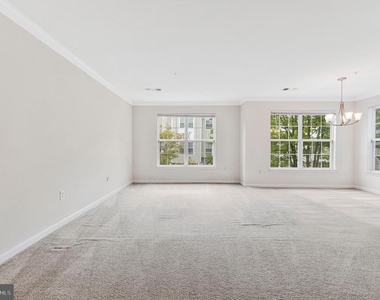 4529 Superior Square - Photo Thumbnail 4
