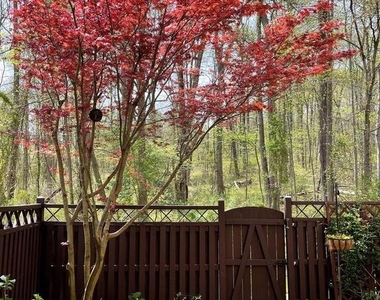 6834 Deer Run Drive - Photo Thumbnail 18