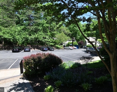 2220 Springwood Drive - Photo Thumbnail 74