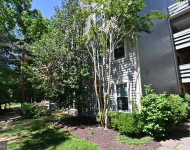 2220 Springwood Drive - Photo Thumbnail 58