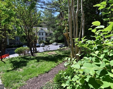 2220 Springwood Drive - Photo Thumbnail 61