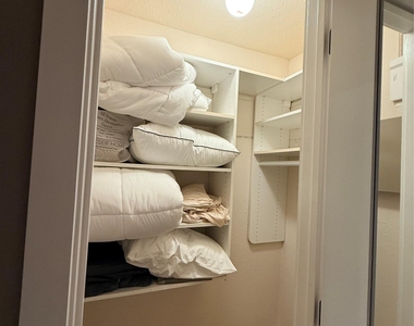 1321 Spyglass Dr - Photo Thumbnail 20