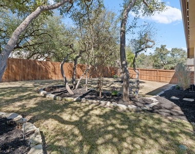 29047 Hobblebush - Photo Thumbnail 26