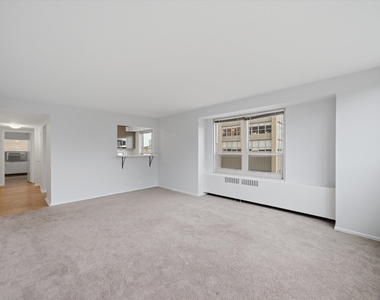 3950 N Lake Shore Drive - Photo Thumbnail 7