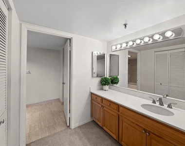 3301 Bayshore Boulevard - Photo Thumbnail 17